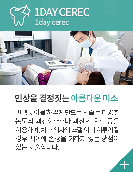 1DAY CEREC